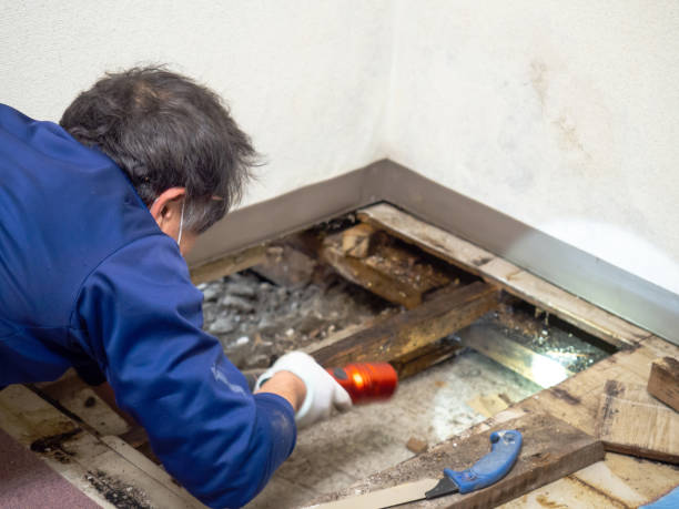 Best Crawl Space Mold Removal  in State Line, PA
