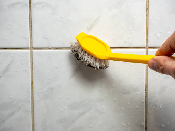 Best Affordable Mold Removal  in State Line, PA